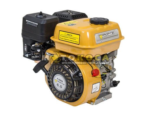 Бензиновый двигатель Forte F200G