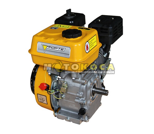 Бензиновый двигатель Forte F200G