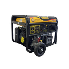 Бензиновый генератор FORTE FG10000E