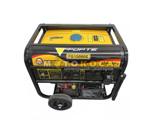 Бензиновий генератор FORTE FG10000E