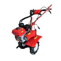 Культиватор бензиновый Forte 900-3D